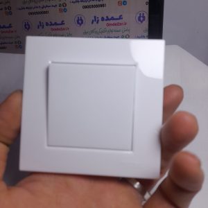 کلید تک پل سفید ساده در دست عمده
