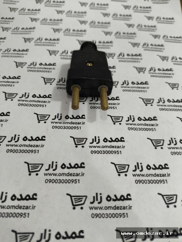 IMG_20260905_105759 کوشا دوشاخه برنجی تخت