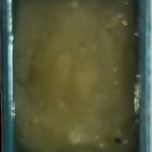 روغن لحیم کوچک روغن لحیم کوچک